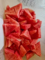 IMG20250118135112.webp