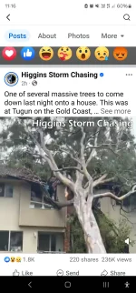 Screenshot_20250308_111603_Facebook.webp