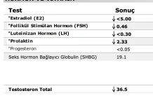 Screenshot 2025-03-28 at 13.09.55.webp