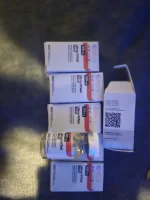 20250319_083617.webp