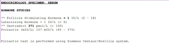 E2.webp