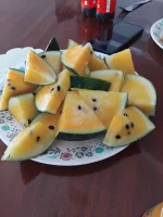 IMG_20250414_120214.webp