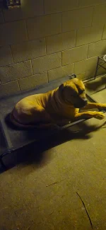 20250506_231628.webp