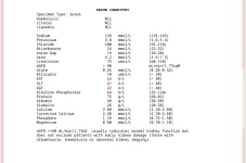 IMG-20250511-WA0023.webp