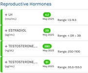 reproductive hormones.webp