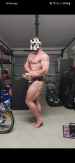 Side Chest.webp