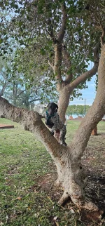 20240804_063530.webp