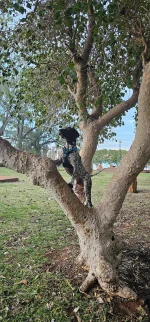 20240804_063529.webp