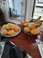 IMG_20250528_131241.webp
