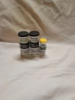 17517107203891196842474926521238.webp