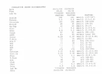 Screenshot 2025-07-24 132601.webp