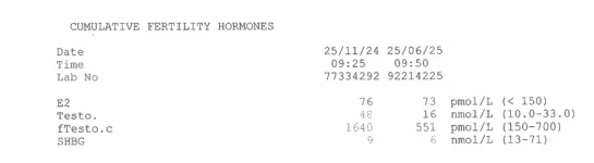 Screenshot 2025-07-24 132609.webp