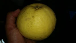 uploadfromtaptalk1406922618688.webp