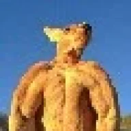 neoraven
