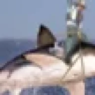 Solidsnake