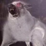 devildog