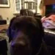 curtisvill