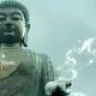buddhabuilder
