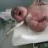 babybruce