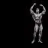 GainTrain
