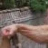 D_S