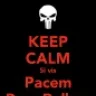 si.vis.pacem.para.bellum
