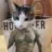 kopykat