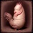 Horror Cock