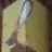 Cuervo Wood