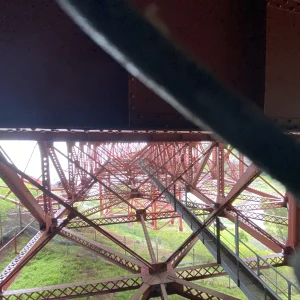 IMG_4453.jpeg