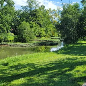 20240811_110637.jpg