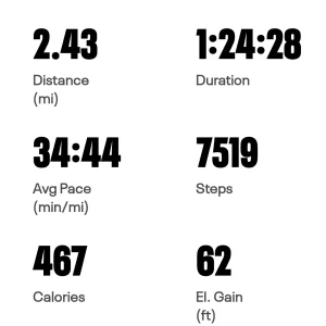 Screenshot_20240820_185535_MapMyWalk.jpg