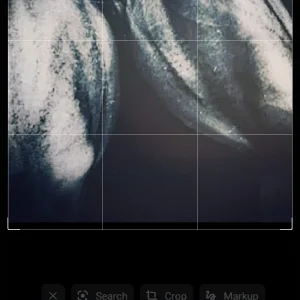 Screenshot_20240726_111441_Photo Editor.jpg