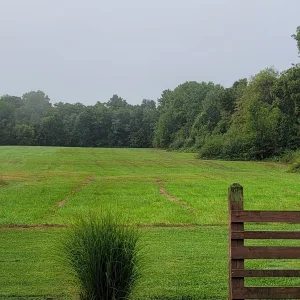 20240924_084349.jpg