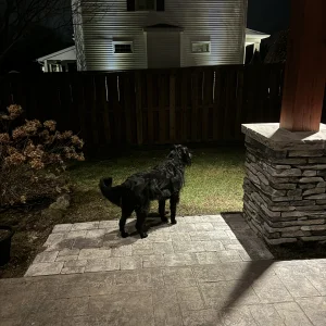 IMG_0071.jpeg