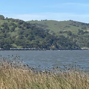 IMG_5812.jpeg