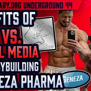 Geneza 44.webp