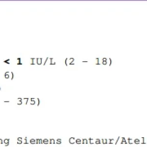 E2.webp