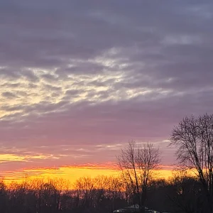 20240324_074343.jpg
