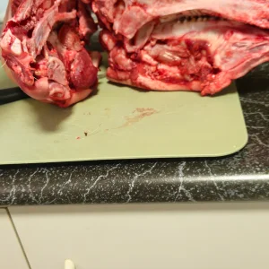 20250509_143536.webp