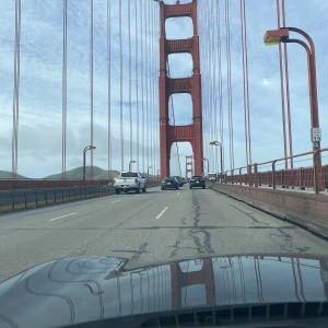 IMG_7213.jpeg