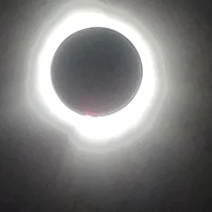 20240408_150845.jpg