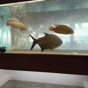 IMG_20240413_173911.jpg