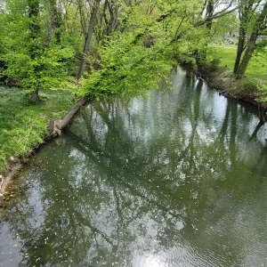 20240426_114437.jpg