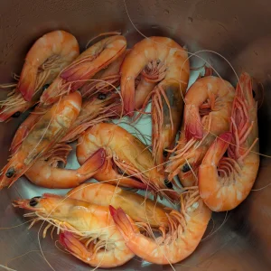 PXL_20251129_101801757.MP.webp