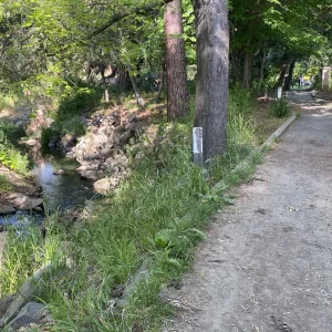 IMG_9718.jpeg