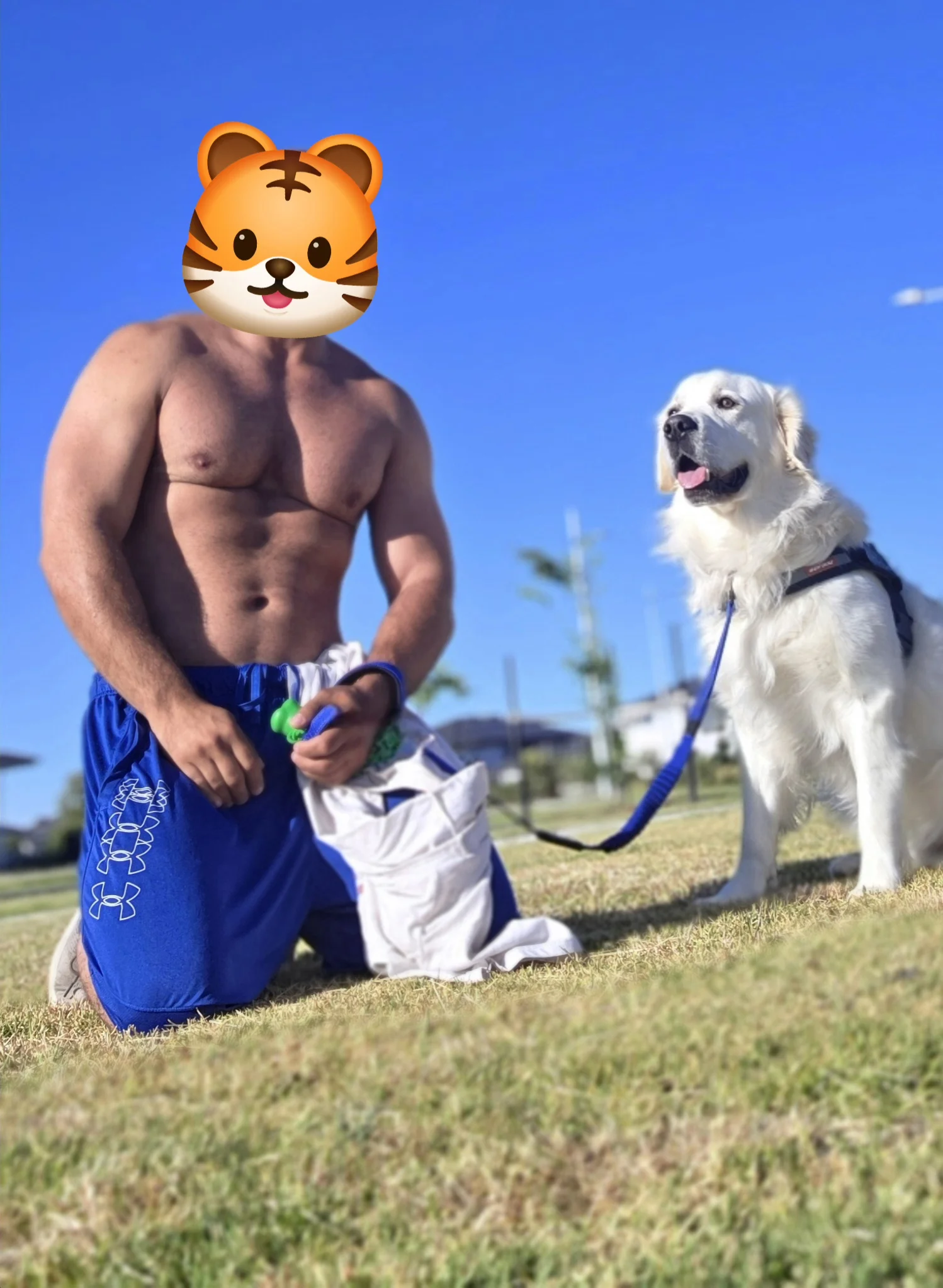 1000040340.webp