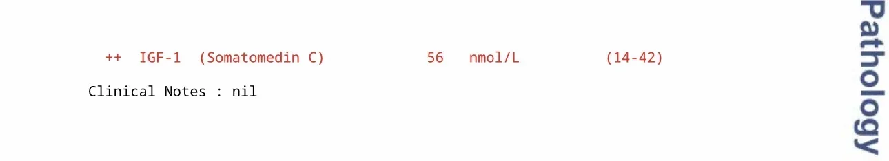 1765769342866.webp