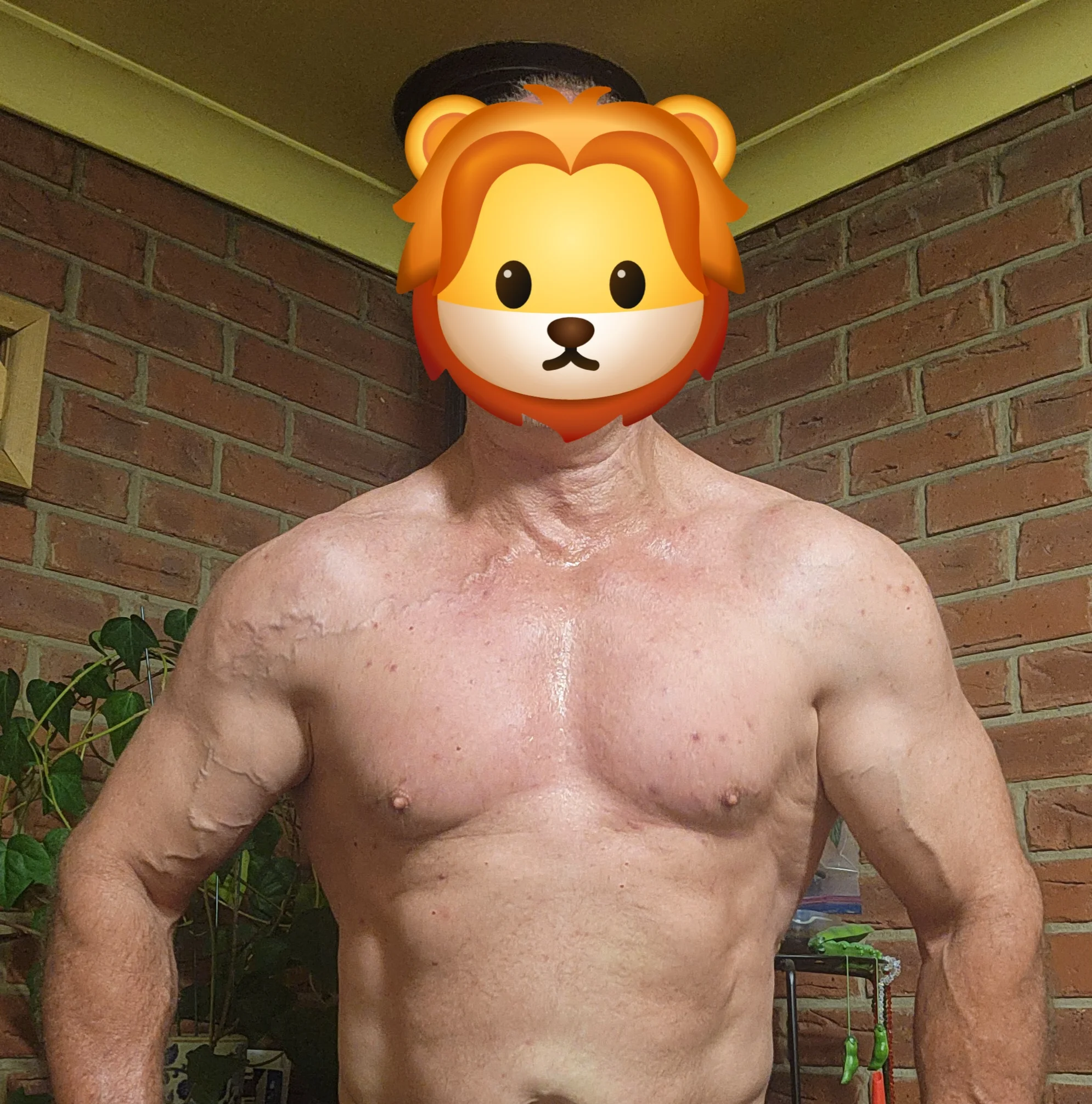 20260306_044648.webp