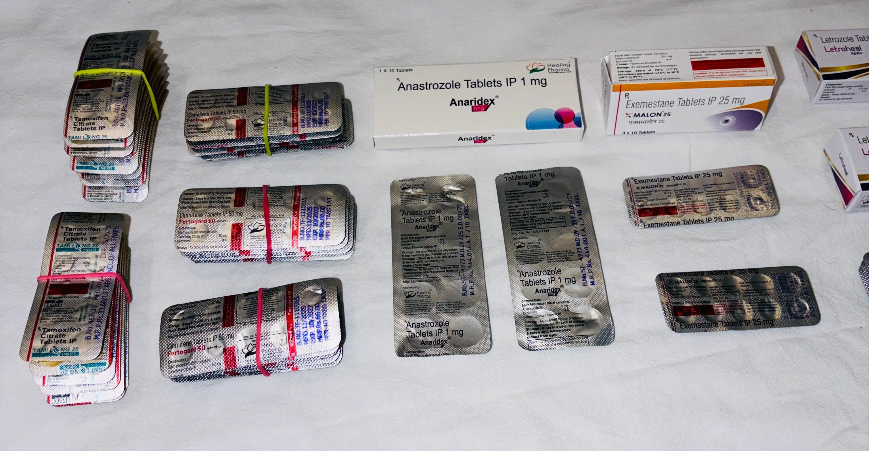 6. Estrogen_2.webp